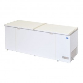 CHEST FREEZER (LIFTING DOOR SERIES) LY600 LDD