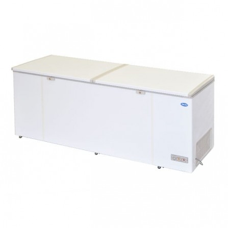 CHEST FREEZER (LIFTING DOOR SERIES) LY600 LDD