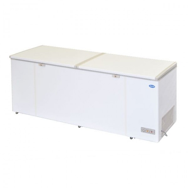 CHEST FREEZER (LIFTING DOOR SERIES) LY600 LDD